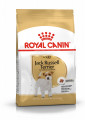 Royal Canin JACK RUSSELL ADULT 1,5 kg