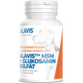 ALAVIS MSM + Glukosamin sulft 60 tbl.