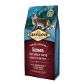 Carnilove Salmon for Adult Cats � Sensitive & Long Hair 6 kg