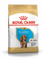 Royal Canin COCKER PUPPY 3 kg