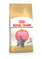 ROYAL CANIN BRITISH SHORT KITTEN 2 KG