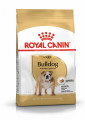 Royal Canin BULLDOG ADULT 12 kg