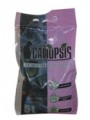 CALIOPSIS stelivo jemn - ultraabsorbent 5 litrov